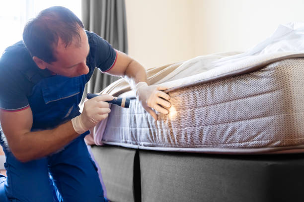 Best Bed Bug Extermination  in New Bern, NC